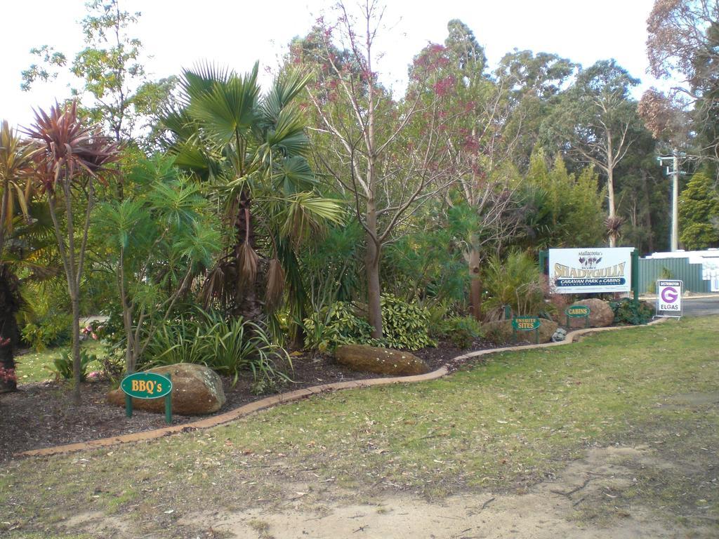 Mallacoota'S Shady Gully Caravan Park Exterior foto
