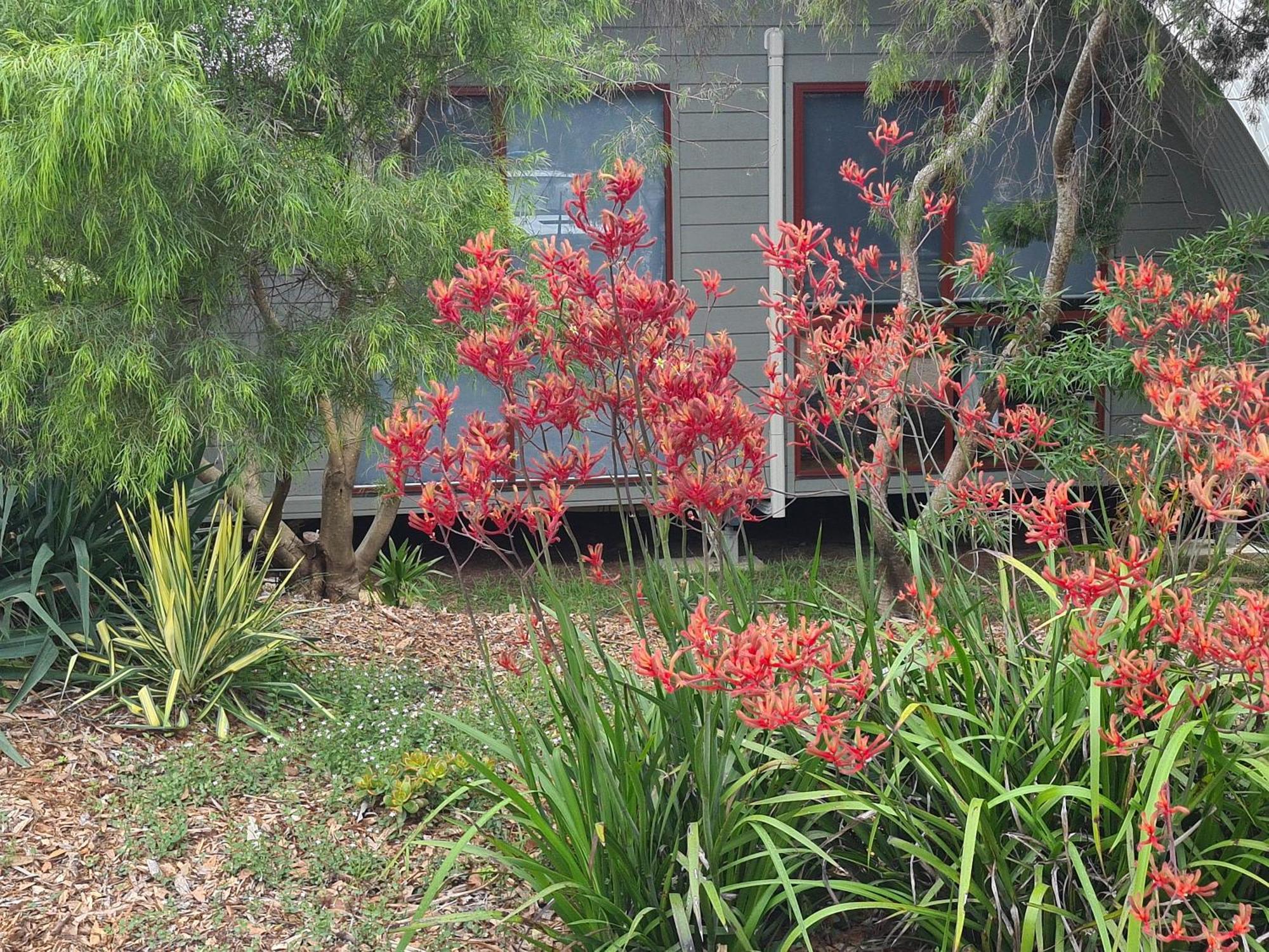 Mallacoota'S Shady Gully Caravan Park Exterior foto